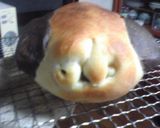 カットしてワンちゃん♪作り方18写真