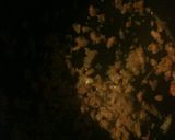 里芋の豚味噌和え作り方3写真
