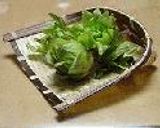春の香り(^-^)ふきのとうの天ぷら作り方1写真