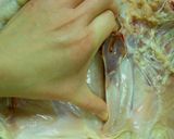 丸鶏のスパッチコック（平たく開く）方法作り方13写真
