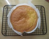 スウェーデンのプリンセスケーキ作り方13写真