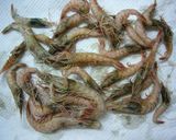 小エビのから揚げ *ハーブ&スパイス*作り方1写真