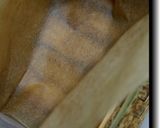 きなこフレンチトースト作り方29写真