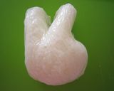 リサとガスパール／トラ柄マフラーのリサ作り方1写真