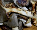 焼きひらたけ作り方18写真