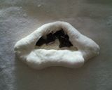 ショコラフランス作り方7写真