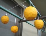 干し柿づくり作り方5写真