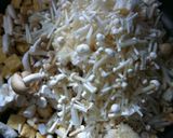 本格的☆超美味しい☆鶏牛蒡ご飯作り方9写真