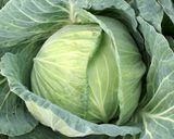豚肉と季節野菜の蒸篭蒸し作り方1写真