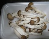大根と鶏肉のウエイパー煮作り方2写真