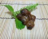 釣り人が作るアオリイカのクチバシの乾物作り方2写真