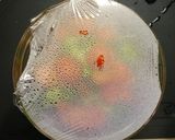 レンジで簡単！シャウエッセンホットサラダ作り方3写真