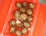 ルクエで里芋煮作り方1写真