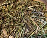 オリーブの葉のお茶作り方3写真