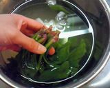 簡単！シンプル「ほうれん草の胡麻和え」作り方4写真