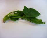 初めてのほうれんそう　～離乳食 第⑧弾～作り方1写真