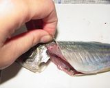 とっておきツール☆で鯵の三枚おろし♪作り方5写真