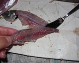 とっておきツール☆で鯵の三枚おろし♪作り方10写真