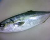 いなだ大根煮つけ作り方1写真