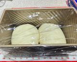 捏ねはHBでパネトーネ種ミルキー角食作り方8写真