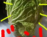 ロール白菜(みそ味)作り方1写真