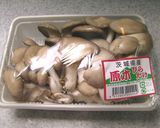 ヒラタケご飯♪キノコご飯おいしく炊くコツ作り方10写真