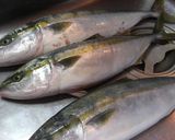 さつま揚げ♪作り方1写真