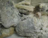 ♡秋刀魚の唐揚げ　おろしポン酢で・・♡　作り方3写真