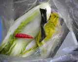 ジップロックで漬ける白菜漬け作り方11写真