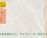 にんじんの生春巻き作り方8写真