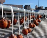 干し柿の作り方作り方8写真