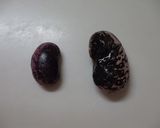 思い出一杯♪ 紫花豆の煮豆作り方3写真