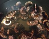 思い出一杯♪ 紫花豆の煮豆作り方4写真