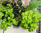 大葉と芽ネギと胡麻昆布のスパムおむすび作り方1写真