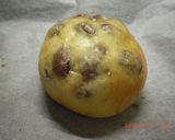 豆パン 作り方11写真