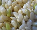 私の玄米ごはん作り方1写真