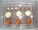 黒ブタ＆白ブタのリングチョコパン作り方6写真