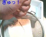 ふわふわ食感☆豆腐ラザニア作り方2写真