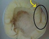 バジル香る♪カマンベールフォンデュパン作り方4写真