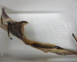 おせち⑤棒たらの甘露煮作り方1写真