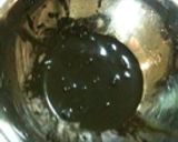 アオリイカで完璧イカスミパスタ‼作り方3写真