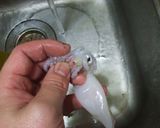 釣り人が作るヒイカの酢味噌あえ作り方1写真