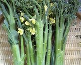 ☆スティックセニョールのおよごし☆作り方1写真