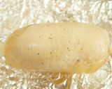 柚子鶏ハム。作り方4写真