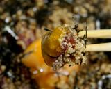 芳ばしいまぐろ丼作り方20写真