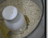 芳ばしいまぐろ丼作り方5写真