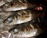 アジの塩焼き作り方3写真