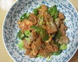 ＊鶏肉とこんにゃくの中華風煮物♪＊作り方10写真