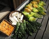 フルーティーな　白菜漬け作り方1写真