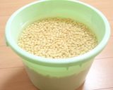 手前味噌2010年作り方3写真